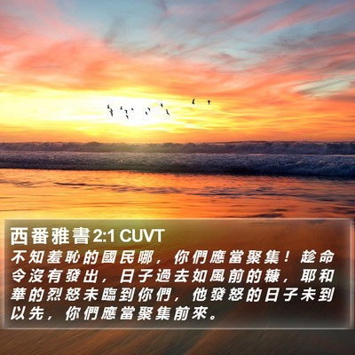 西 番 雅 書 2:1 CUVT Bible Verse Image