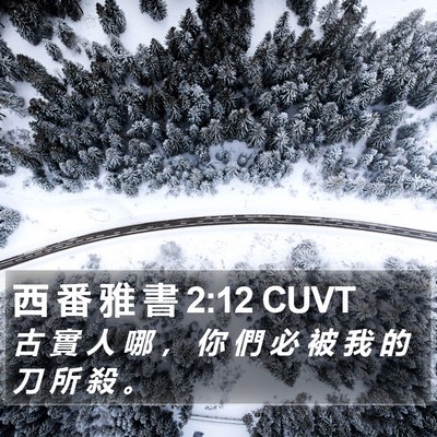 西 番 雅 書 2:12 CUVT Bible Verse Image