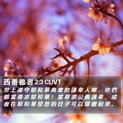 西 番 雅 書 2:3 CUVT Bible Verse Image