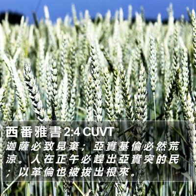 西 番 雅 書 2:4 CUVT Bible Verse Image