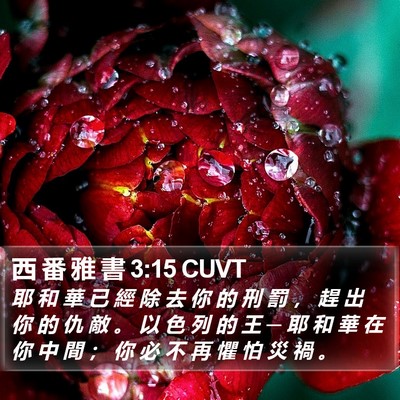 西 番 雅 書 3:15 CUVT Bible Verse Image