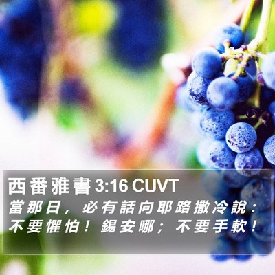 西 番 雅 書 3:16 CUVT Bible Verse Image