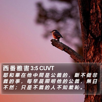 西 番 雅 書 3:5 CUVT Bible Verse Image