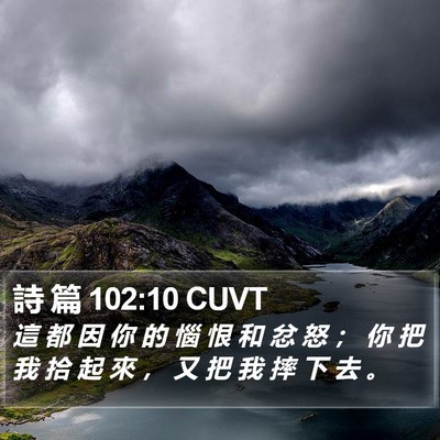 詩 篇 102:10 CUVT Bible Verse Image