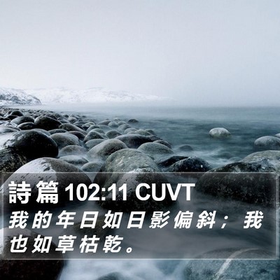 詩 篇 102:11 CUVT Bible Verse Image