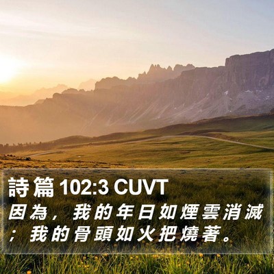 詩 篇 102:3 CUVT Bible Verse Image