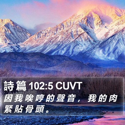 詩 篇 102:5 CUVT Bible Verse Image