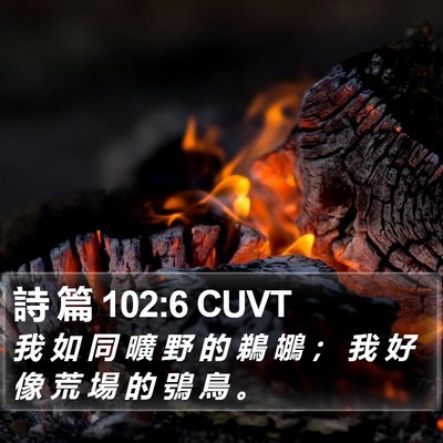 詩 篇 102:6 CUVT Bible Verse Image