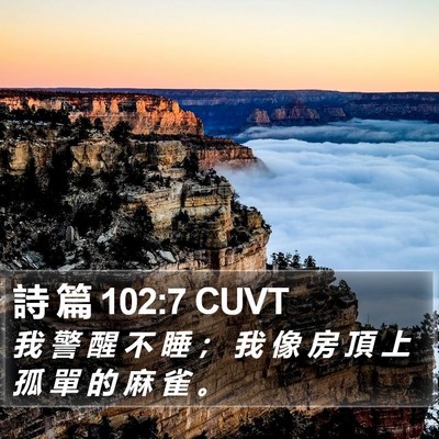 詩 篇 102:7 CUVT Bible Verse Image
