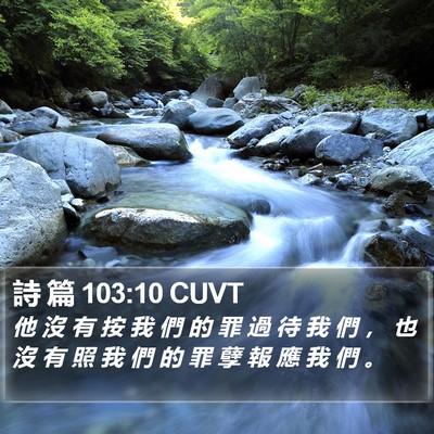 詩 篇 103:10 CUVT Bible Verse Image