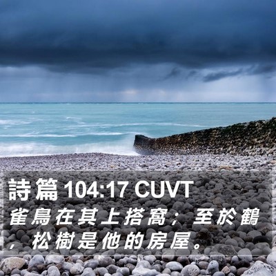 詩 篇 104:17 CUVT Bible Verse Image