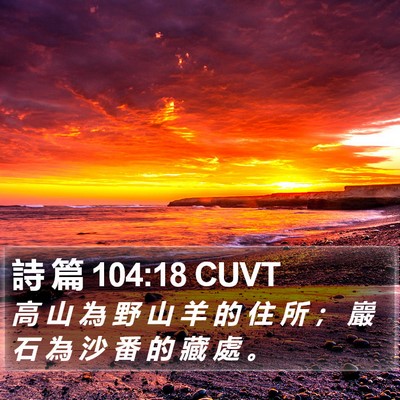 詩 篇 104:18 CUVT Bible Verse Image