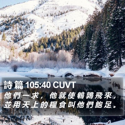 詩 篇 105:40 CUVT Bible Verse Image