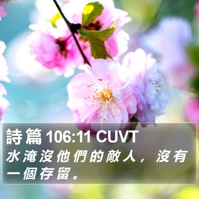 詩 篇 106:11 CUVT Bible Verse Image