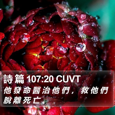 詩 篇 107:20 CUVT Bible Verse Image