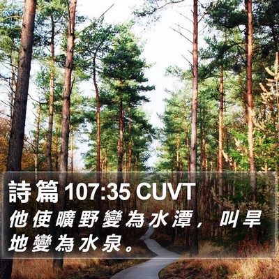 詩 篇 107:35 CUVT Bible Verse Image