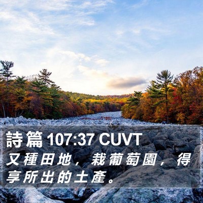 詩 篇 107:37 CUVT Bible Verse Image