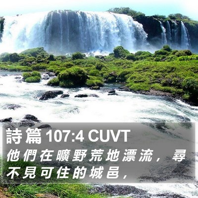 詩 篇 107:4 CUVT Bible Verse Image