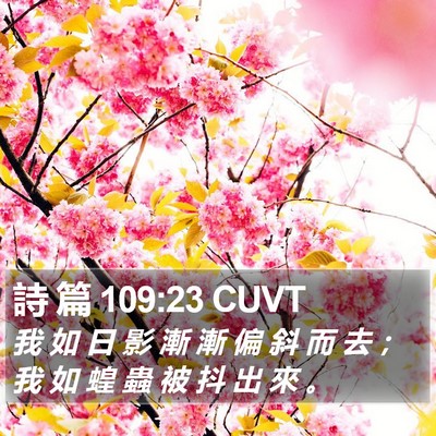 詩 篇 109:23 CUVT Bible Verse Image