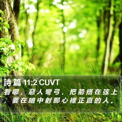 詩 篇 11:2 CUVT Bible Verse Image