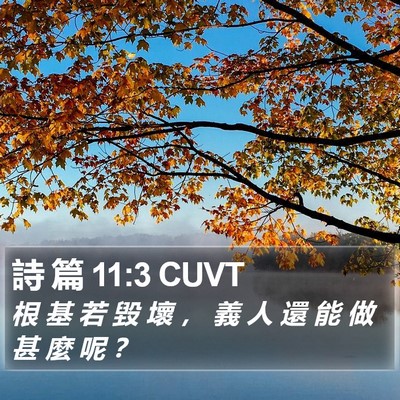 詩 篇 11:3 CUVT Bible Verse Image