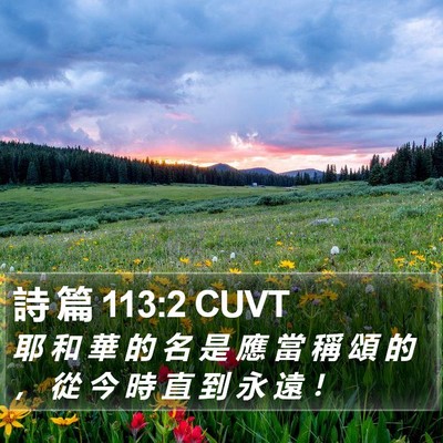 詩 篇 113:2 CUVT Bible Verse Image