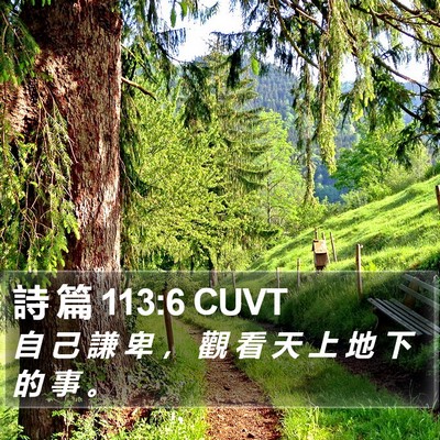 詩 篇 113:6 CUVT Bible Verse Image