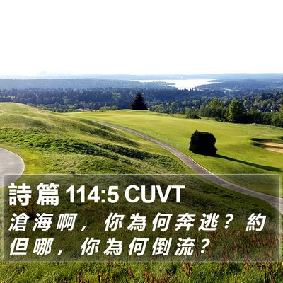 詩 篇 114:5 CUVT Bible Verse Image