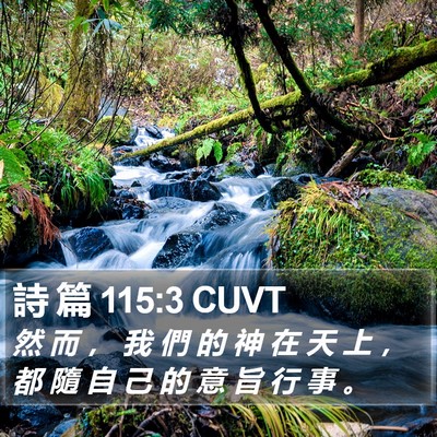 詩 篇 115:3 CUVT Bible Verse Image