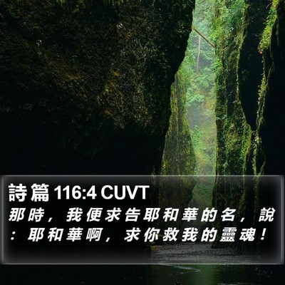 詩 篇 116:4 CUVT Bible Verse Image