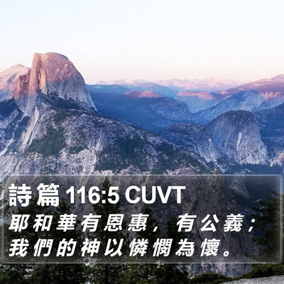 詩 篇 116:5 CUVT Bible Verse Image