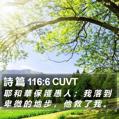 詩 篇 116:6 CUVT Bible Verse Image