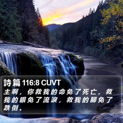 詩 篇 116:8 CUVT Bible Verse Image