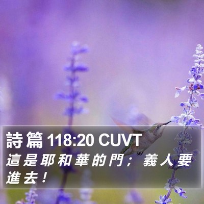詩 篇 118:20 CUVT Bible Verse Image