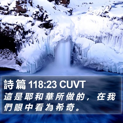 詩 篇 118:23 CUVT Bible Verse Image
