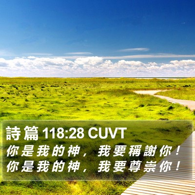 詩 篇 118:28 CUVT Bible Verse Image