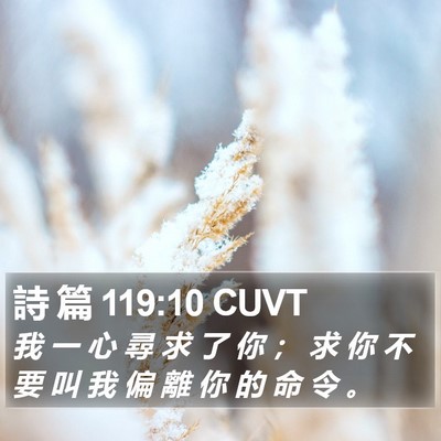 詩 篇 119:10 CUVT Bible Verse Image