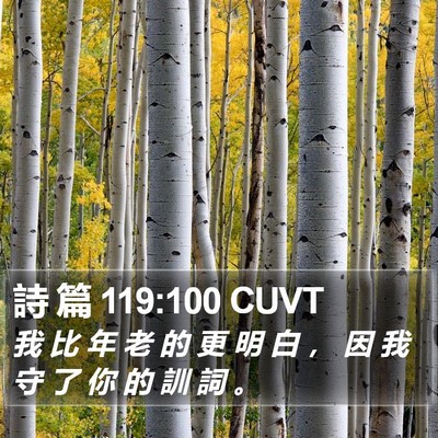 詩 篇 119:100 CUVT Bible Verse Image