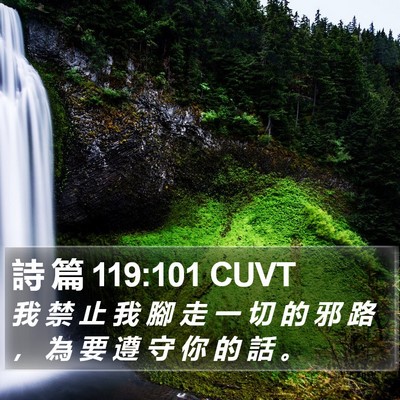 詩 篇 119:101 CUVT Bible Verse Image