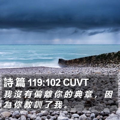 詩 篇 119:102 CUVT Bible Verse Image