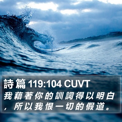詩 篇 119:104 CUVT Bible Verse Image