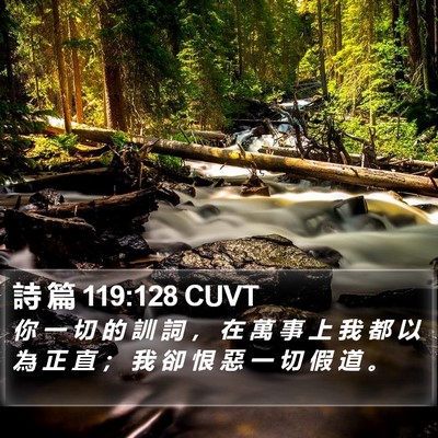 詩 篇 119:128 CUVT Bible Verse Image