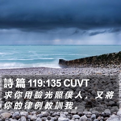 詩 篇 119:135 CUVT Bible Verse Image