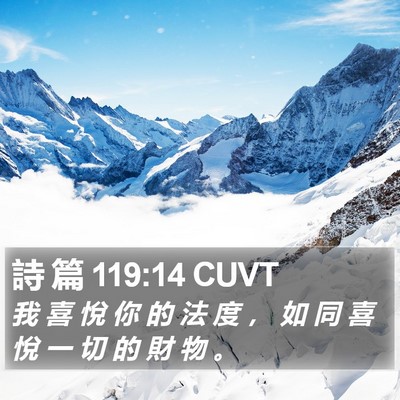 詩 篇 119:14 CUVT Bible Verse Image
