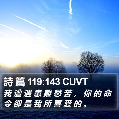 詩 篇 119:143 CUVT Bible Verse Image