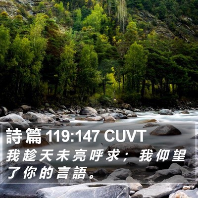 詩 篇 119:147 CUVT Bible Verse Image