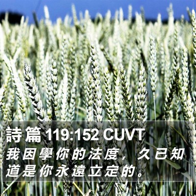 詩 篇 119:152 CUVT Bible Verse Image