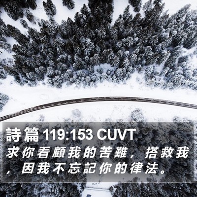 詩 篇 119:153 CUVT Bible Verse Image