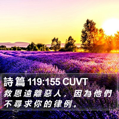 詩 篇 119:155 CUVT Bible Verse Image