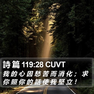 詩 篇 119:28 CUVT Bible Verse Image